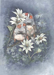 Finches & Flannel Flowers