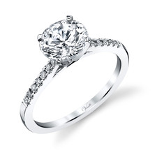 14K White Gold -  Diamond Accented Cathedral Engagement Ring (0.14ct)