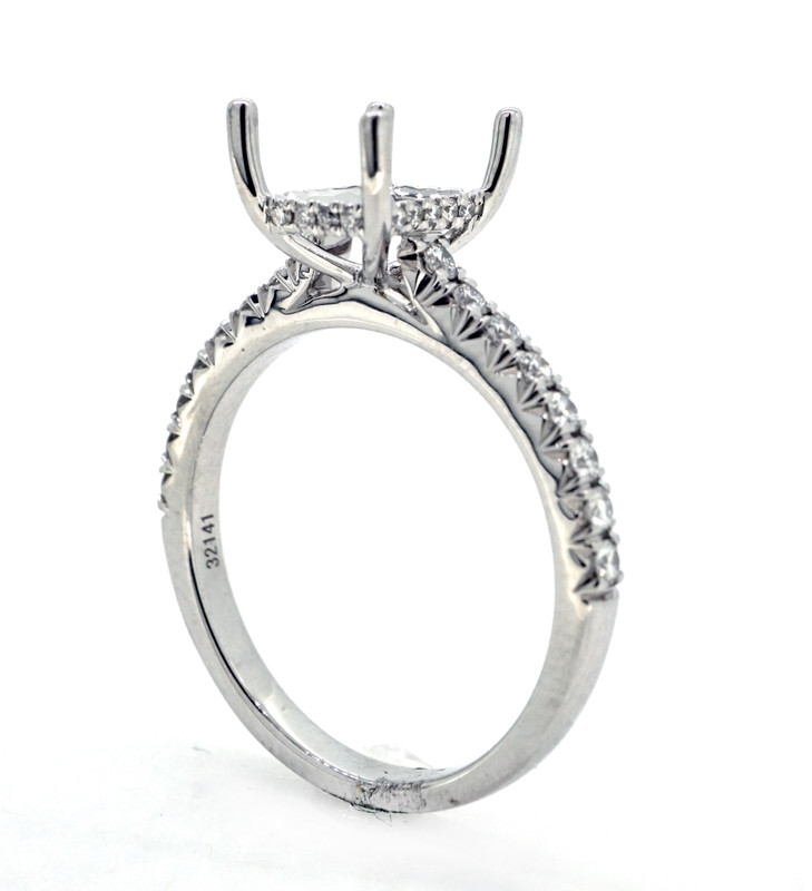 Cathedral Engagement Ring With Halo Head | Ritani