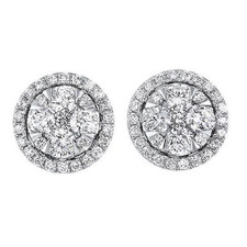 14K White Gold - Round Shaped Round Diamond Cluster Style Stud Earring (0.50ct)