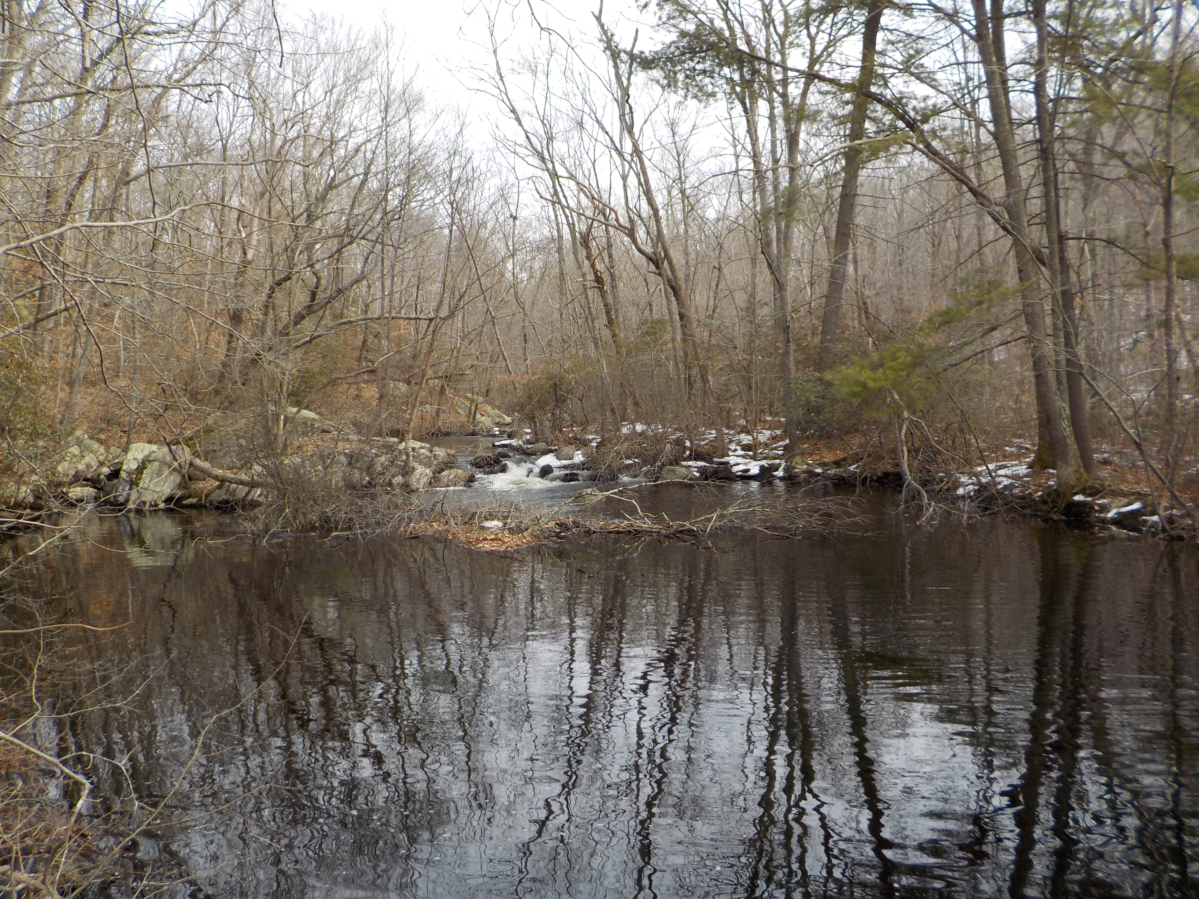 Iron Stream to Upper Guilford Lakes - The Timberlands