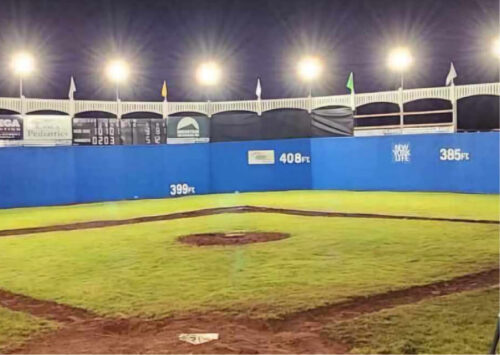 Little Yankee Wiffle Ball Field