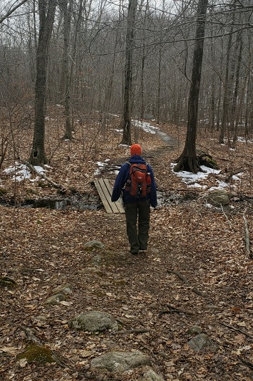 Nice Terrain - The Timberlands