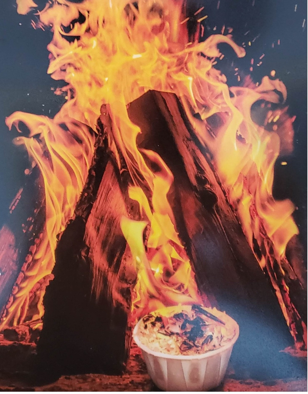 ファイヤー クイックスターターギフト Qwick Wick Fire Starter for Fireplace, Wood Stoves, Camp Fires