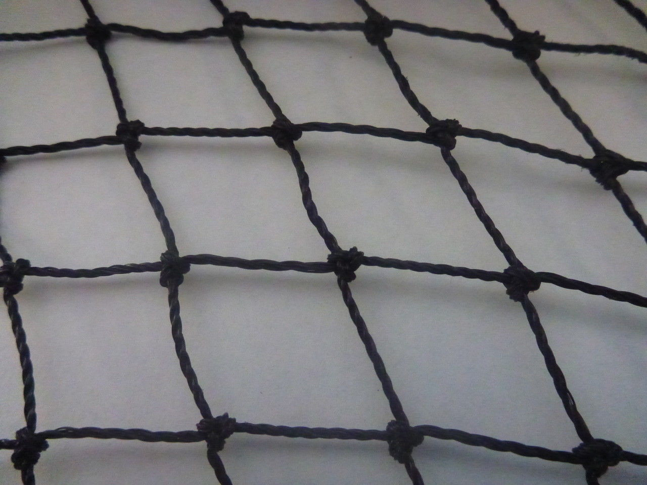 Poultry Netting 50' x 50' 2" Heavy Knotted Aviary Bird Net 8-10 Year Lifespan! 