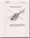 MBB /Kawasaki BK 117 Helicopter  Student Manual , ( English a Language )