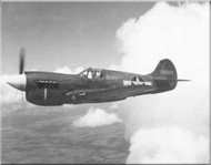 Curtiss P-40  Tomahawk / Kittyhawk Aircraft Manuals  Bundle USBD or Download