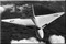 AVRO 698 Vulcan Aircraft Airplane Manuals Bundle on USBD or Download