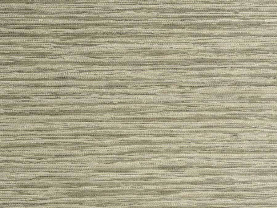 Intrepidus Fernwood 86-0004