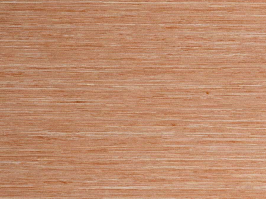 Intrepidus Burnt Orange 86-0005