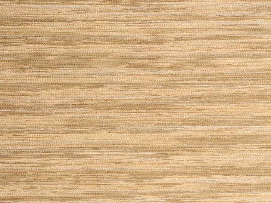 Intrepidus Hay 86-0006