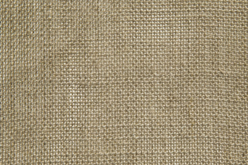 BELGIUM LINEN×COTTON PERFECT REGULAR T BELGIUM LINEN×COTTON PERFECT REGULAR T-SHIRTS/W