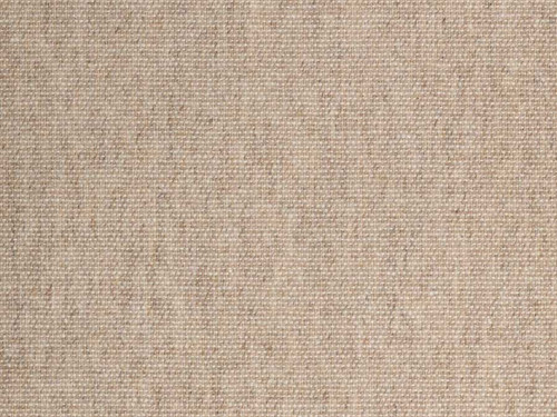 SAPIENTIA - DRIFTWOOD