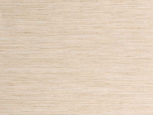 INTREPIDUS - ALABASTER