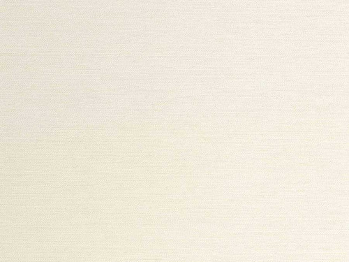 INTREPIDUS - PURE WHITE