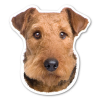 Airedale Terrier Dog Magnet