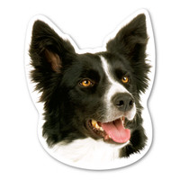 Border Collie Dog Magnet