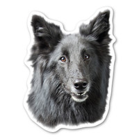 (Black) German Shepherd Dog Magnet
