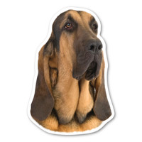 Bloodhound Magnet