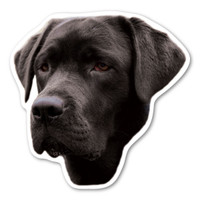 (Black) Labrador Retriever Dog Magnet