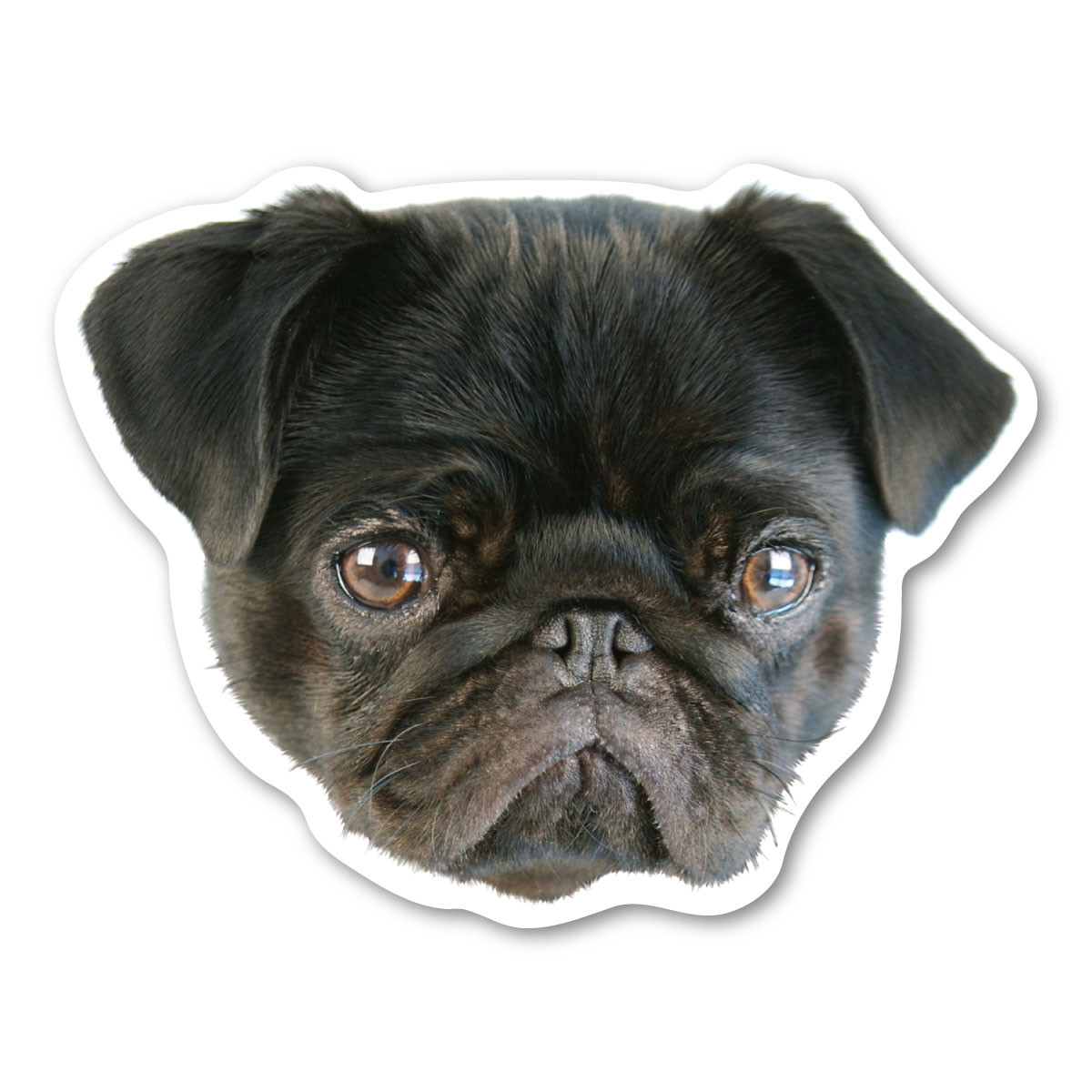 Best of Breed Pug Fawn Patriotic I Dog Breed Mail Box Cover Best of Breed Pug Fawn Patriotic I Dog Breed Mail Box Cover