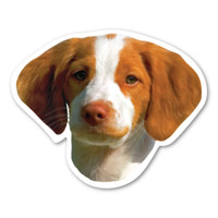 Brittany Spaniel Dog Magnet