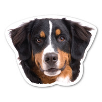 Bernese Mountain Dog Magnet