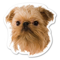 Brussels Griffon Dog Magnet