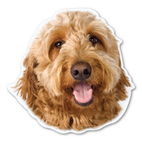 Goldendoodle Dog Magnet