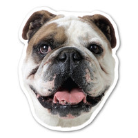 Bulldog Dog Magnet