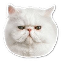 (White) Persian Cat Magnet