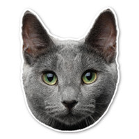 Russian Blue Cat Magnet