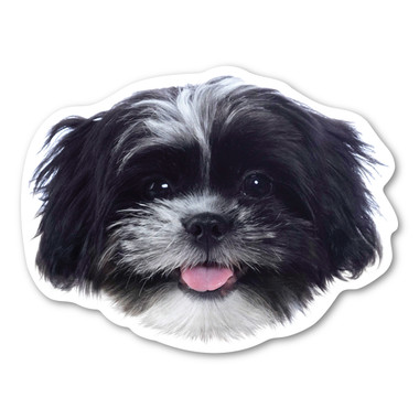 Are you a dog-lover? Do you have a Shih Tzu?