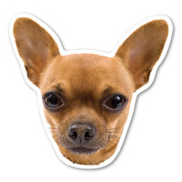 Chihuahua Dog Magnet