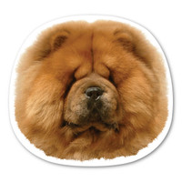 Chow Chow Magnet