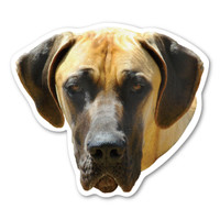 Great Dane Dog Magnet