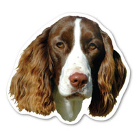 English Springer Spaniel Dog Magnet