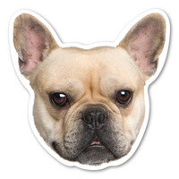 (Fawn) French Bulldog Dog Magnet
