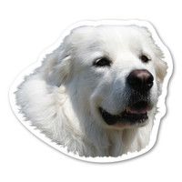 Great Pyrenees Dog Magnet