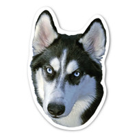 Siberian Husky Dog Magnet