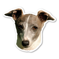 Italian Greyhound Dog Magnet