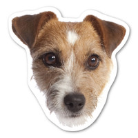 Jack Russell Terrier Dog Magnet