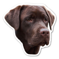 (Chocolate) Labrador Retriever Dog Magnet