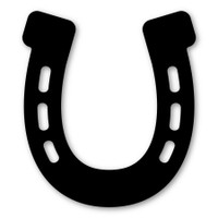 Horseshoe  - Black Magnet