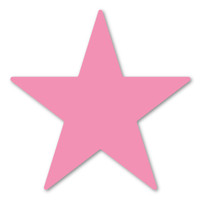 Pink Star Magnet