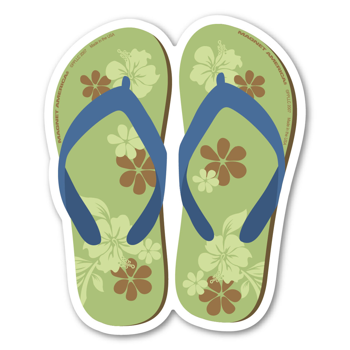 Green and Blue Flip Flop America