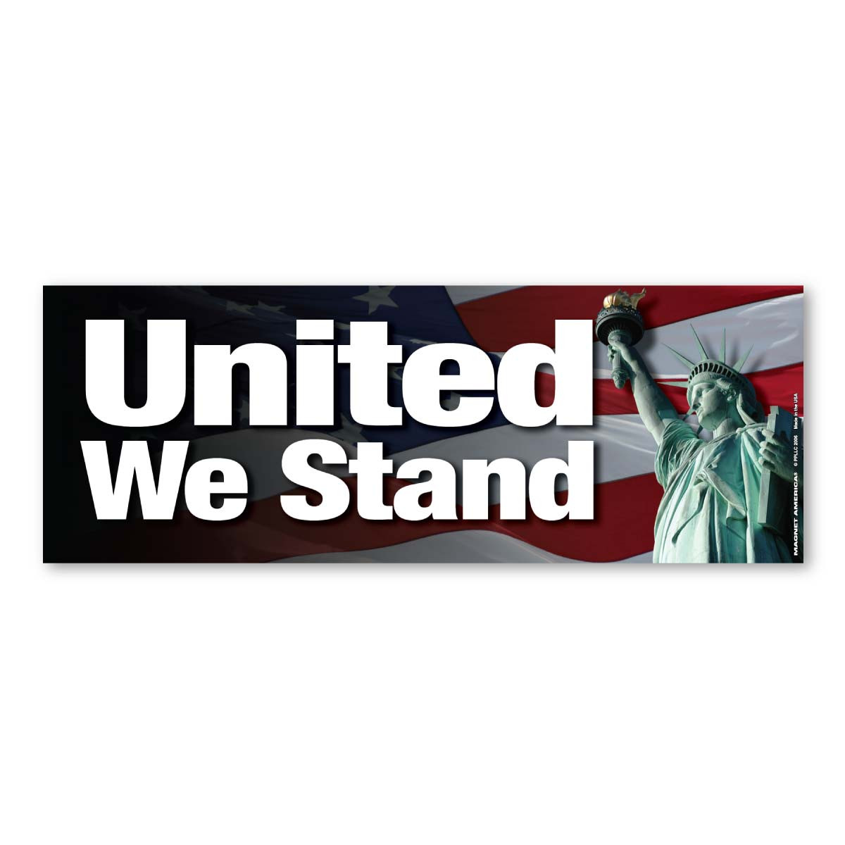 Bandiera United We Stand - Striscione patriottico in