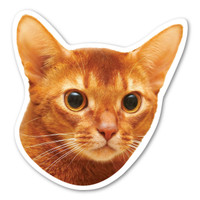 Abyssinian Cat Magnet