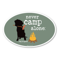 Never Camp Alone Oval  Magnet