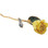 Real 12" Inch Lacquered Yellow Colored Rose 